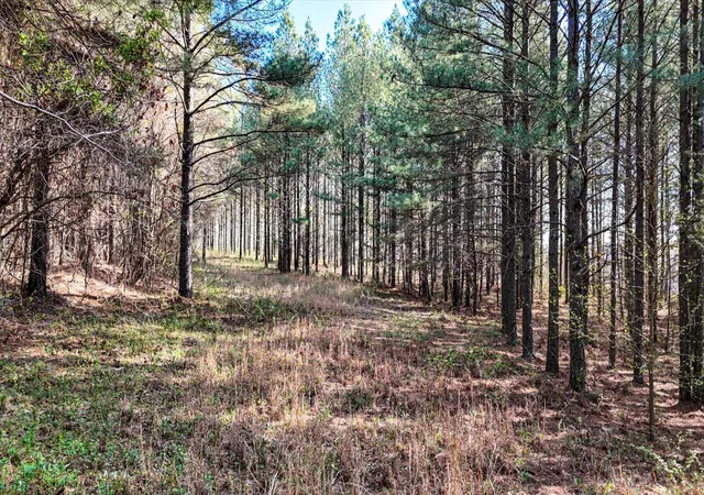 4th image of Lot 1350 Split Rail Wy, Guild, TN 37340 | MLS# 1531733