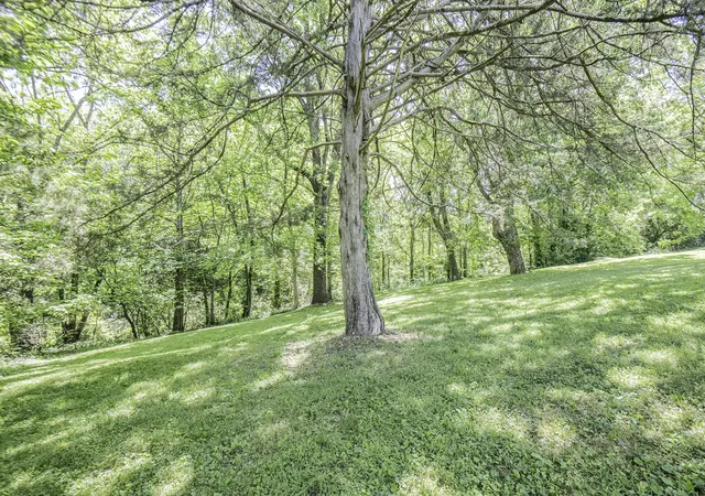 49th image of 4822 Blue Bell Ave, Ooltewah, TN 37363 | MLS# 1533896