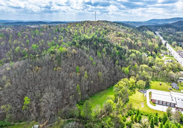 Homes for sale in Sale Creek, TN | 0000 Gothard St, Sale Creek, TN 37373 | MLS# 1531707