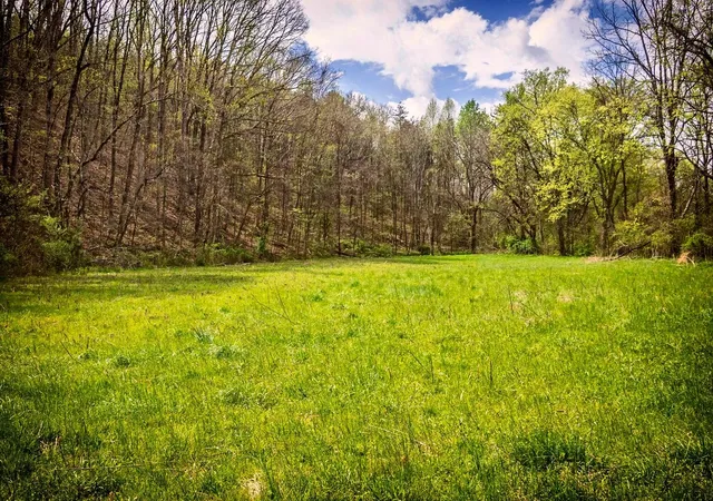 Homes for sale in Sale Creek, TN | 0000 Gothard St, Sale Creek, TN 37373 | MLS# 1531707