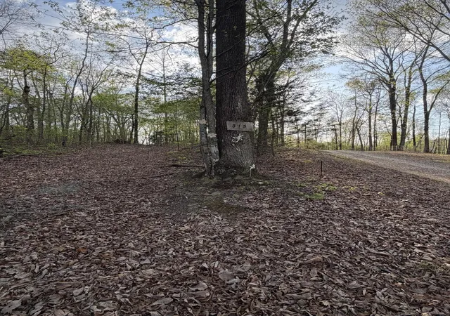 3rd image of 0 Henry Rd, Whitwell, TN 37397 | MLS# 1531731