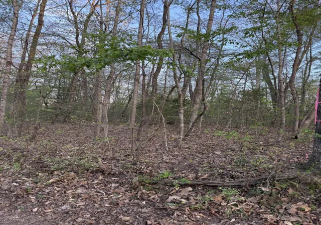 4th image of 0 Henry Rd, Whitwell, TN 37397 | MLS# 1531731