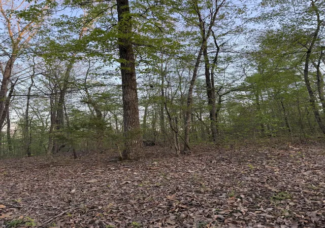 5th image of 0 Henry Rd, Whitwell, TN 37397 | MLS# 1531731