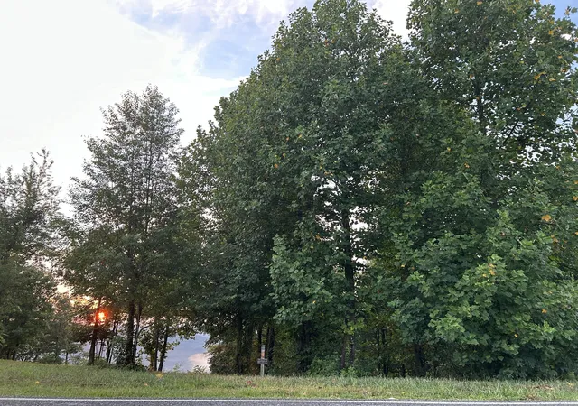 4th image of 755 Sunset Cir #Sv-109, Jasper, TN 37347 | MLS# 1531851