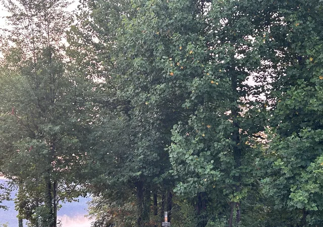 5th image of 755 Sunset Cir #Sv-109, Jasper, TN 37347 | MLS# 1531851