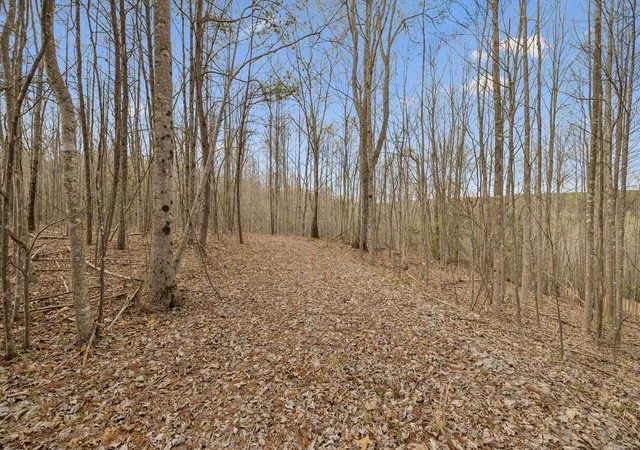 Homes for sale in Signal Mountain, TN | 0 Walden Dr #Lot 27, Signal Mountain, TN 37377 | MLS# 1532028