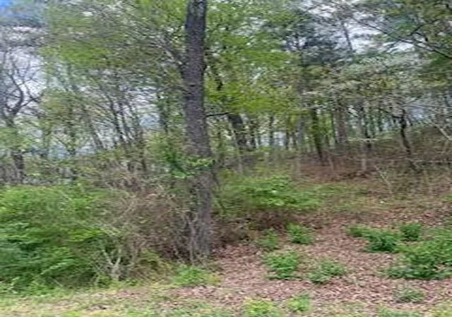 Photo 2 of Land for sale at 2624 Hixson Pike, Chattanooga, TN 37415 | MLS# 1531872 | Listing updated on 2026-06-25