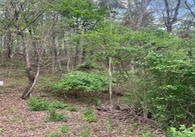 Photo 2 of Land for sale at 2624 Hixson Pike, Chattanooga, TN 37415 | MLS# 1531872 | Listing updated on 2026-06-25