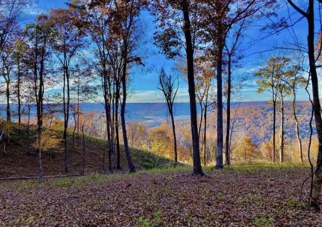 1st image of 390 Volunteer St #Jf-365, Jasper, TN 37347 | MLS# 1532130