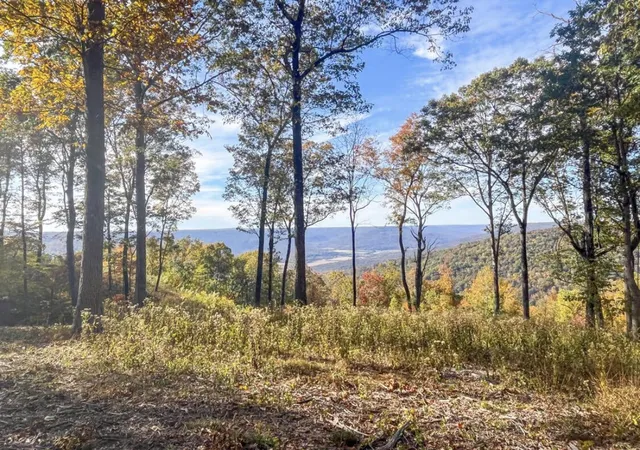 Photo 3 of Land for sale at 390 Volunteer St #JF-365, Jasper, TN 37347 | MLS# 1532130 | Listing updated on 2026-08-13