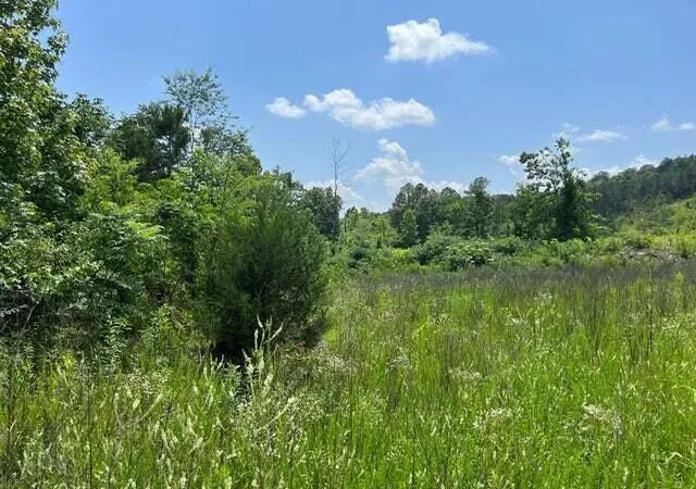 Photo 3 of Land for sale at 0 County Rd #53, Athens, TN 37303 | MLS# 1532334 | Listing updated on 2026-08-18