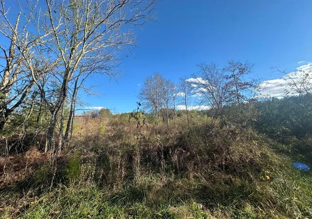 2nd image of 000 Mt Carmel Rd, Decatur, TN 37322 | MLS# 1532351