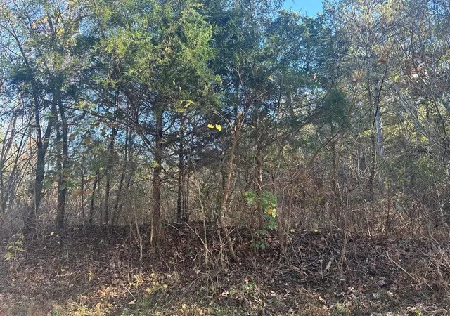 9th image of 000 Mt Carmel Rd, Decatur, TN 37322 | MLS# 1532351