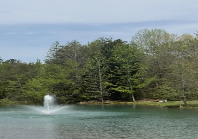 Homes for sale in Signal Mountain, TN | 5 Ives Lake Rd, Signal Mountain, TN 37377 | MLS# 1532520