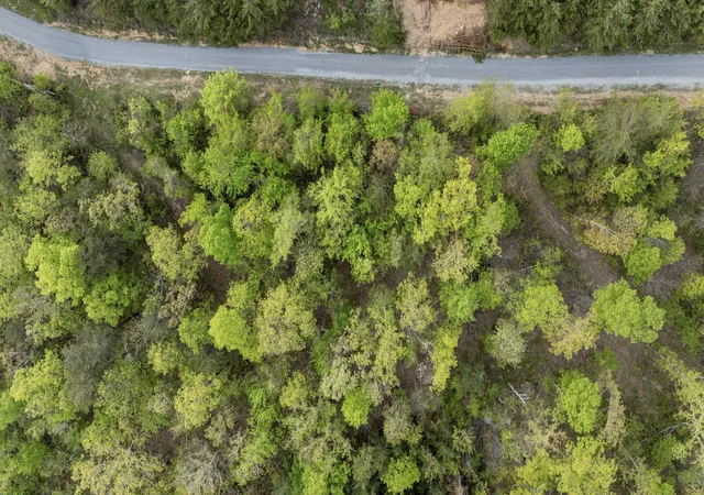 5th image of 0 Bluff Ledge Dr #Lot 79, Hixson, TN 37343 | MLS# 1532540