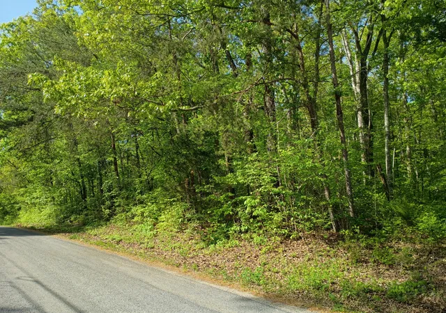 4th image of 44 Acres County Road 219, Decatur, TN 37322 | MLS# 1532604