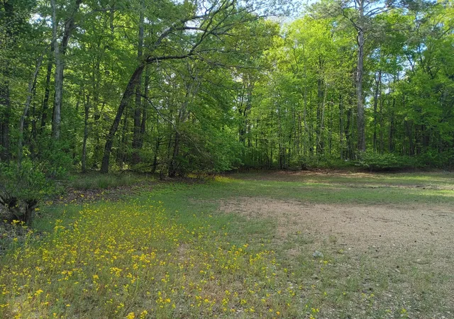 5th image of 44 Acres County Road 219, Decatur, TN 37322 | MLS# 1532604