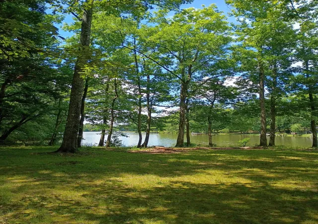 3rd image of 44 Acres County Road 219, Decatur, TN 37322 | MLS# 1532604