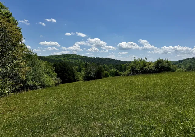 Photo 3 of Land for sale at 00 Goodfield Ter #33, Decatur, TN 37322 | MLS# 1532743 | Listing updated on 2026-09-10