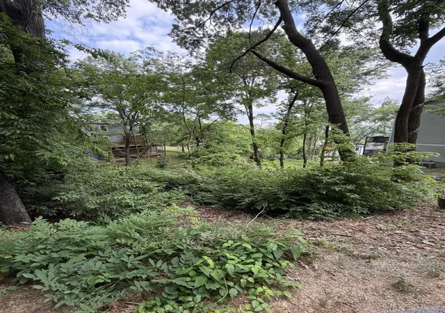 5th image of 328 Pine Ridge Rd, Chattanooga, TN 37405 | MLS# 1533244