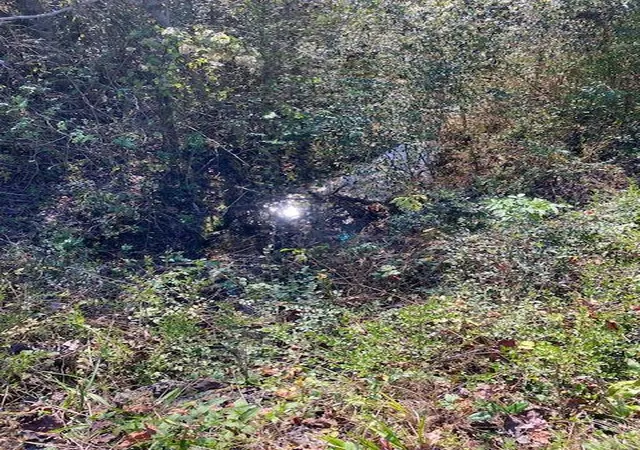 5th image of 0 N Hwy 411, Chatsworth, GA 30705 | MLS# 1532767