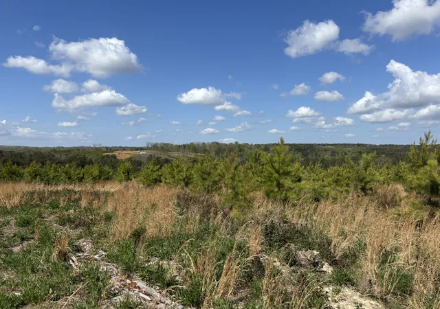 image of 07 Fredonia Rd, Dunlap, TN 37327 | MLS# 1532768