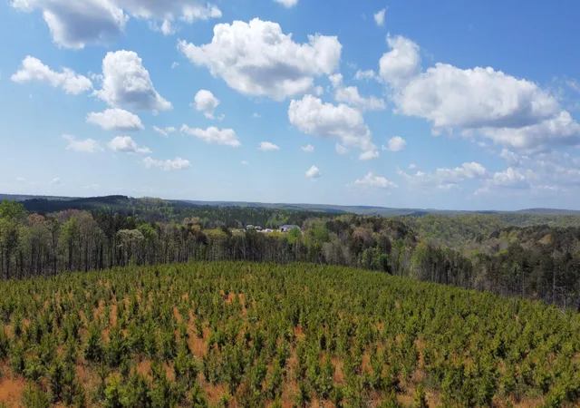 46th image of 07 Fredonia Rd, Dunlap, TN 37327 | MLS# 1532768