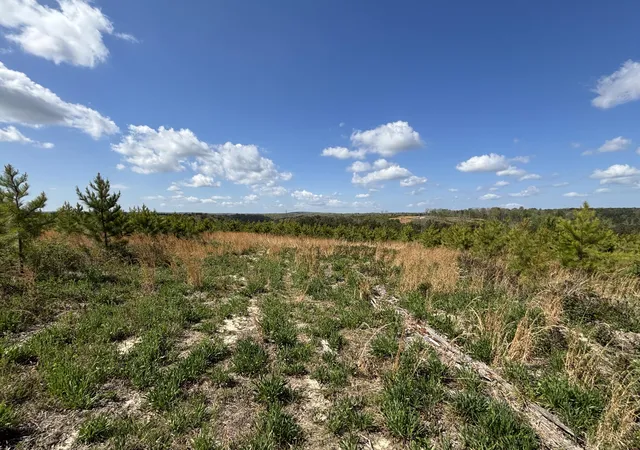image of 07 Fredonia Rd, Dunlap, TN 37327 | MLS# 1532768