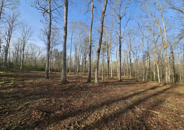 Homes for sale in Gruetli Laager, TN | 7 50th Ave N, Gruetli Laager, TN 37339 | MLS# 1532892