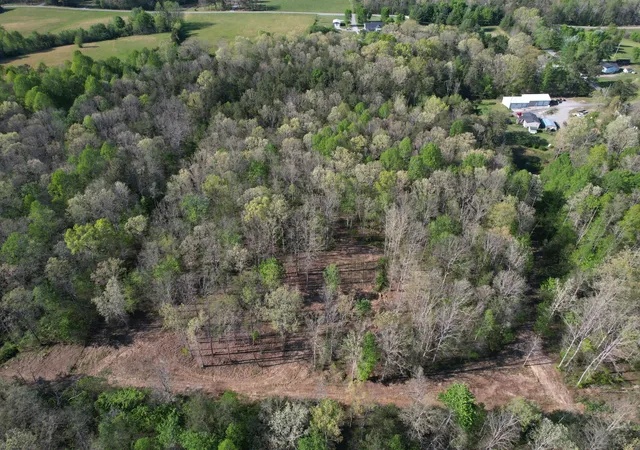 Homes for sale in Gruetli Laager, TN | 7 50th Ave N, Gruetli Laager, TN 37339 | MLS# 1532892