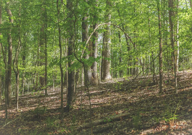 5th image of 0 Highland Ridge Rd, Estill Springs, TN 37330 | MLS# 1532986