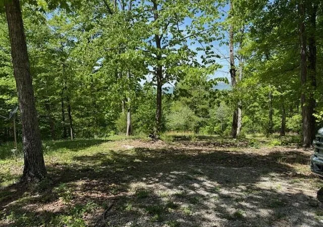 38th image of 0 Pitts Gap Mtn Rd, Pikeville, TN 37367 | MLS# 1533328