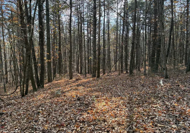 4th image of 0 Bootleg Bnd #2182, Guild, TN 37340 | MLS# 1533434