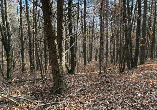 5th image of 0 Bootleg Bnd #2182, Guild, TN 37340 | MLS# 1533434