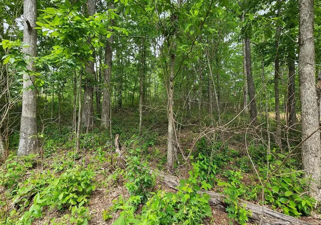 Photo 4 of Land for sale at 0 Ashford, Crossville, TN 38572 | MLS# 1533439 | Listing updated on 2026-09-14
