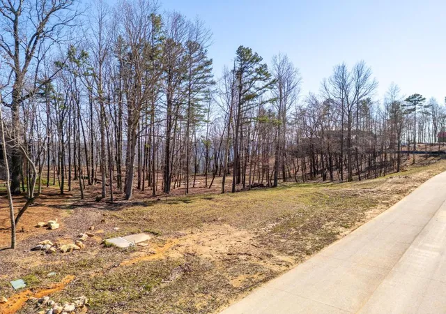 Photo 3 of Land for sale at 3271 River Gorge Dr #963, Chattanooga, TN 37419 | MLS# 1533476 | Listing updated on 2026-08-24