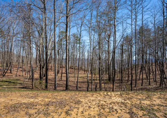 Photo 4 of Land for sale at 3271 River Gorge Dr #963, Chattanooga, TN 37419 | MLS# 1533476 | Listing updated on 2026-08-24