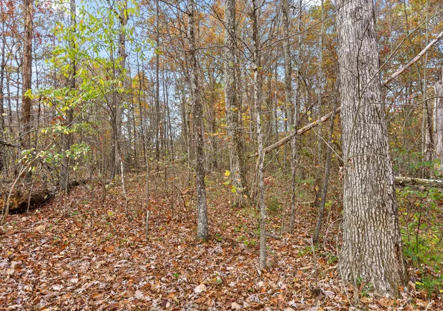 3rd image of 612 Miles Rd, Signal Mountain, TN 37377 | MLS# 1533631