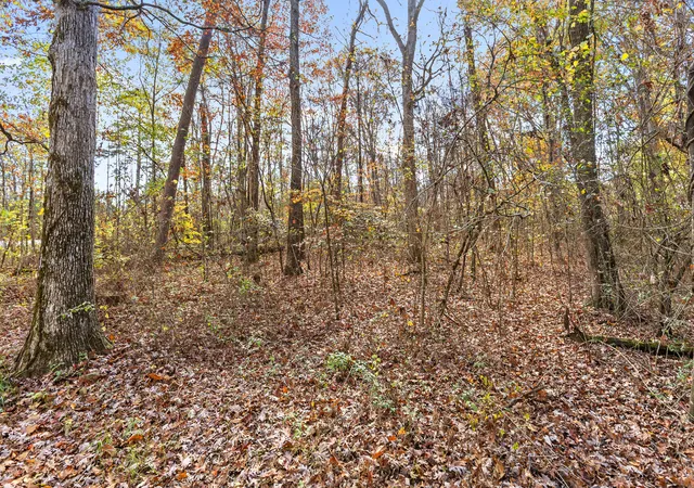 4th image of 612 Miles Rd, Signal Mountain, TN 37377 | MLS# 1533631