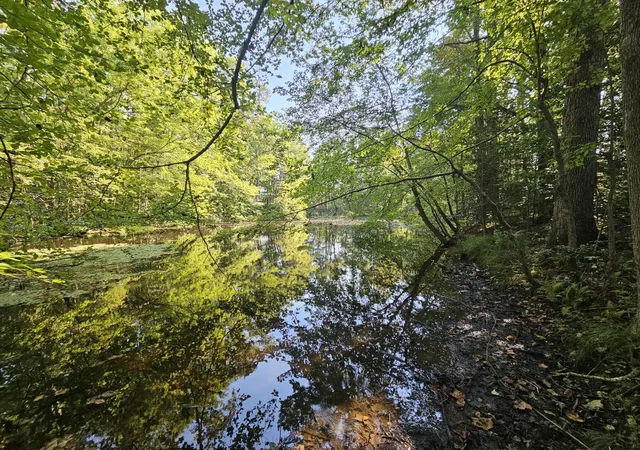 Photo 1 of Land for sale at 108 Sr, Gruetli Laager, TN 37339 | MLS# 1533586 | Listing updated on 2026-04-29