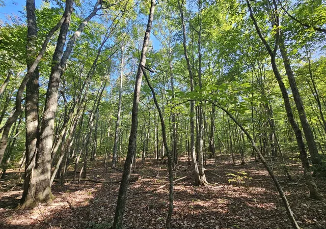 Photo 2 of Land for sale at 108 Sr, Gruetli Laager, TN 37339 | MLS# 1533586 | Listing updated on 2026-04-29