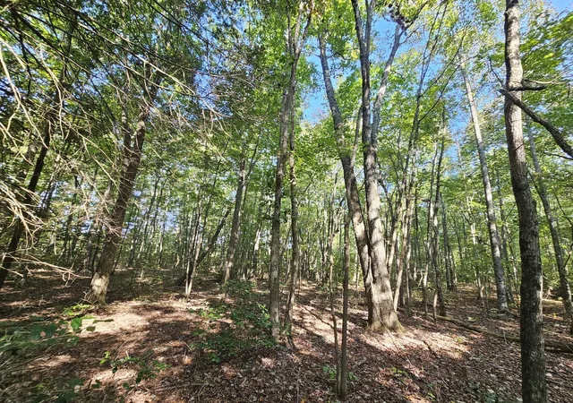 Photo 3 of Land for sale at 108 Sr, Gruetli Laager, TN 37339 | MLS# 1533586 | Listing updated on 2026-04-29