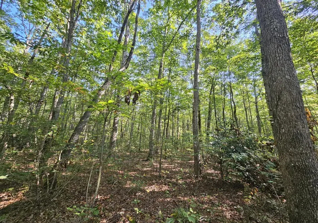 Photo 3 of Land for sale at 108 Sr, Gruetli Laager, TN 37339 | MLS# 1533586 | Listing updated on 2026-04-29
