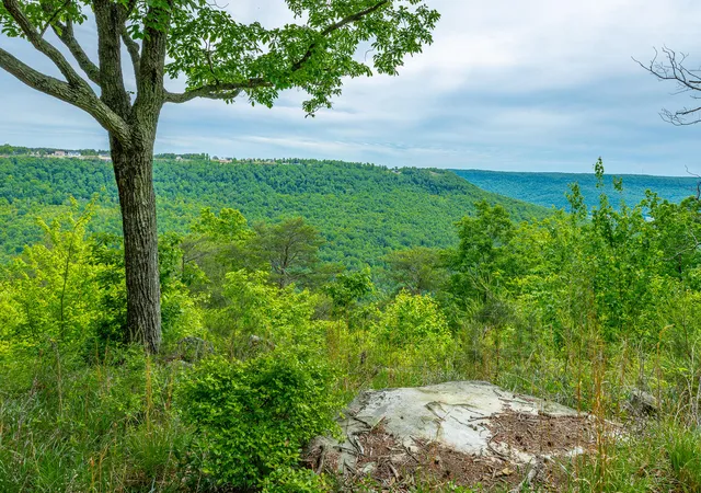 1st image of 0 Crockett Pt #Jf160, Jasper, TN 37347 | MLS# 1534172