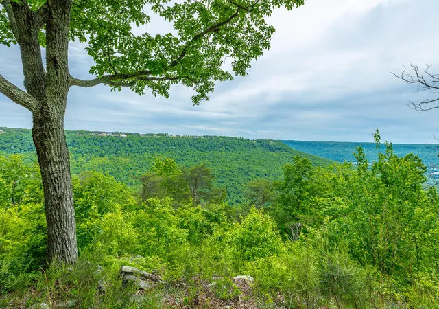 Photo 3 of Land for sale at 0 Crockett Point #JF160, Jasper, TN 37347 | MLS# 1534172 | Listing updated on 2026-08-04