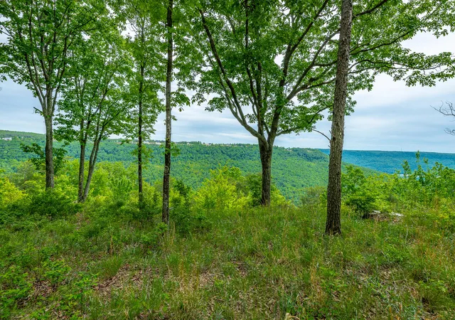 Photo 3 of Land for sale at 0 Crockett Point #JF160, Jasper, TN 37347 | MLS# 1534172 | Listing updated on 2026-08-04