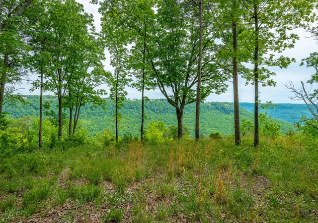 Photo 4 of Land for sale at 0 Crockett Point #JF160, Jasper, TN 37347 | MLS# 1534172 | Listing updated on 2026-08-04