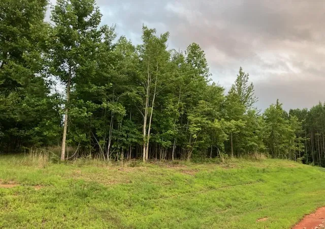 Photo 3 of Land for sale at 174 Volunteer St #JF-398, Jasper, TN 37347 | MLS# 1537409 | Listing updated on 2026-06-24