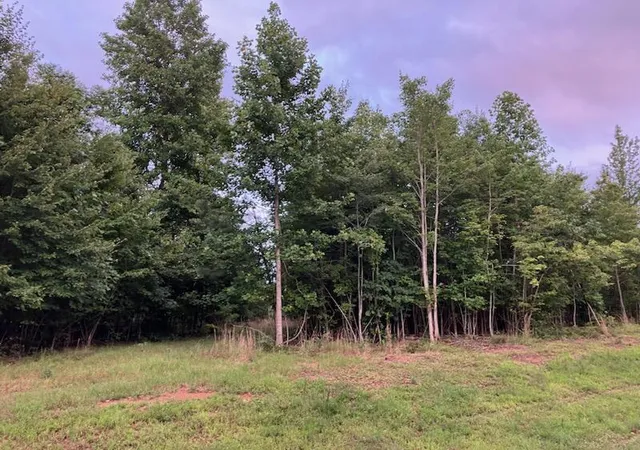 Photo 4 of Land for sale at 174 Volunteer St #JF-398, Jasper, TN 37347 | MLS# 1537409 | Listing updated on 2026-06-24
