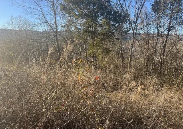 Photo 3 of Land for sale at 0 Cedar Breeze #4, Trenton, GA 30752 | MLS# 1533865 | Listing updated on 2026-06-09
